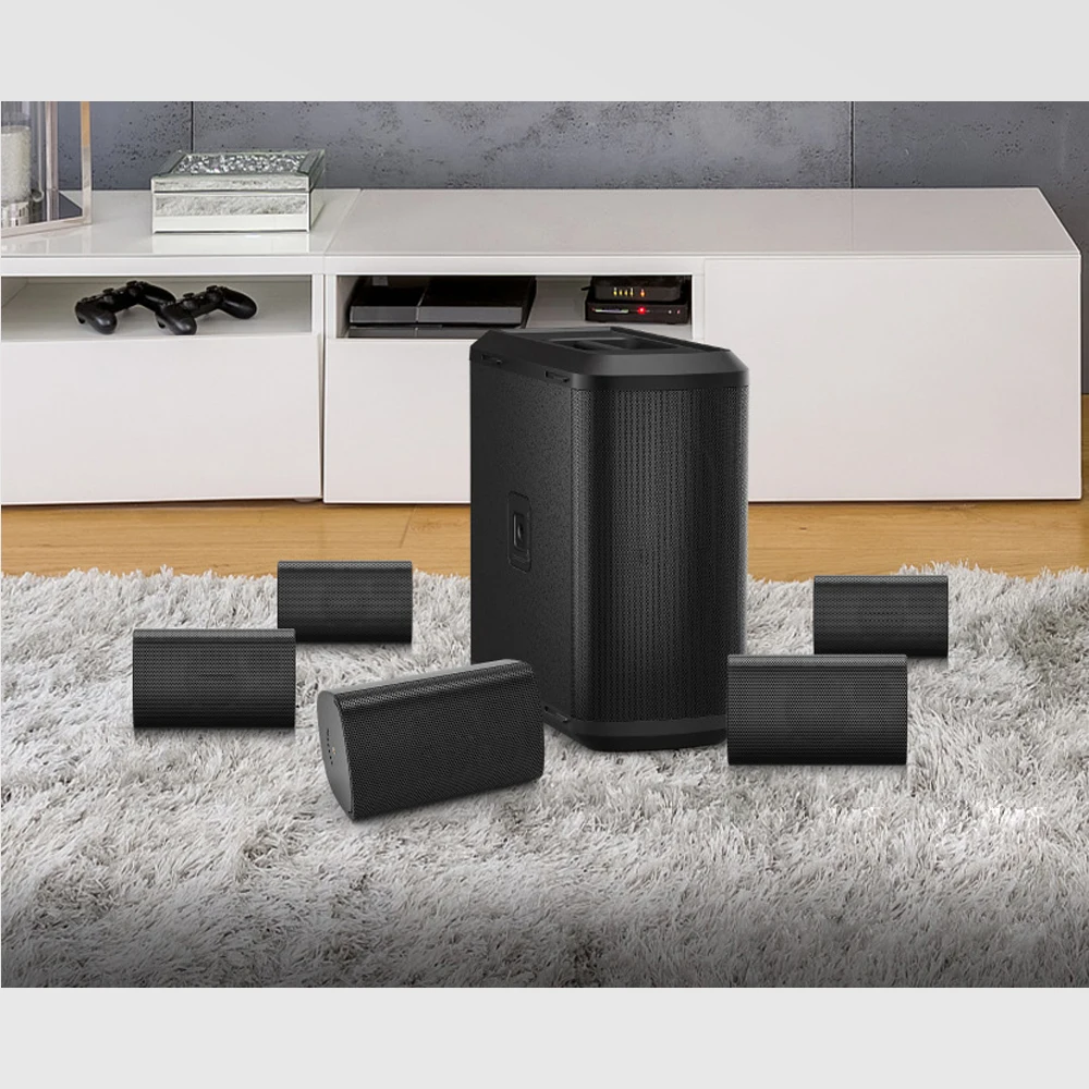 Professional FS2 FS3 Home Theater Speaker System 5PCS/SET Custom Rapid Sound Model in Sale
