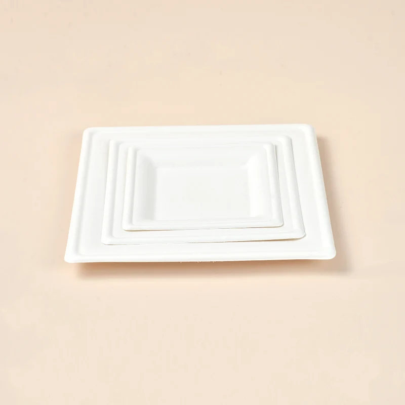 Free Samples disposable sugarcane tableware 9inch compostable bio degradable bagasse paper plate