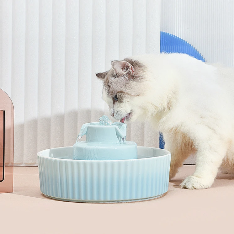 Advanced Porcelain Pet Fountain Super Quiet Drinking Fountains for Puppy and Kittens Indoor with Replacement Filters and Foam