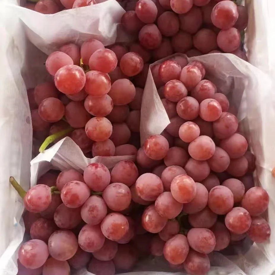 
2021 Chinese Red globe grape for wholesale 
