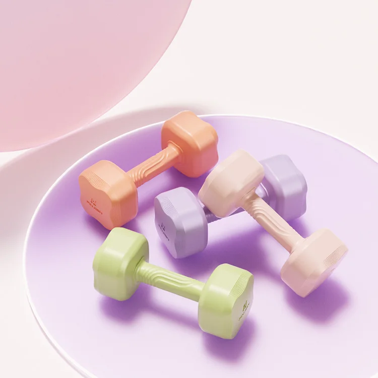 PJ New pre-sale Women Gym weight lifting Home Exercise Sport Dumbbell Set Yoga Fitness Equipment Lose weight cement dumbbell