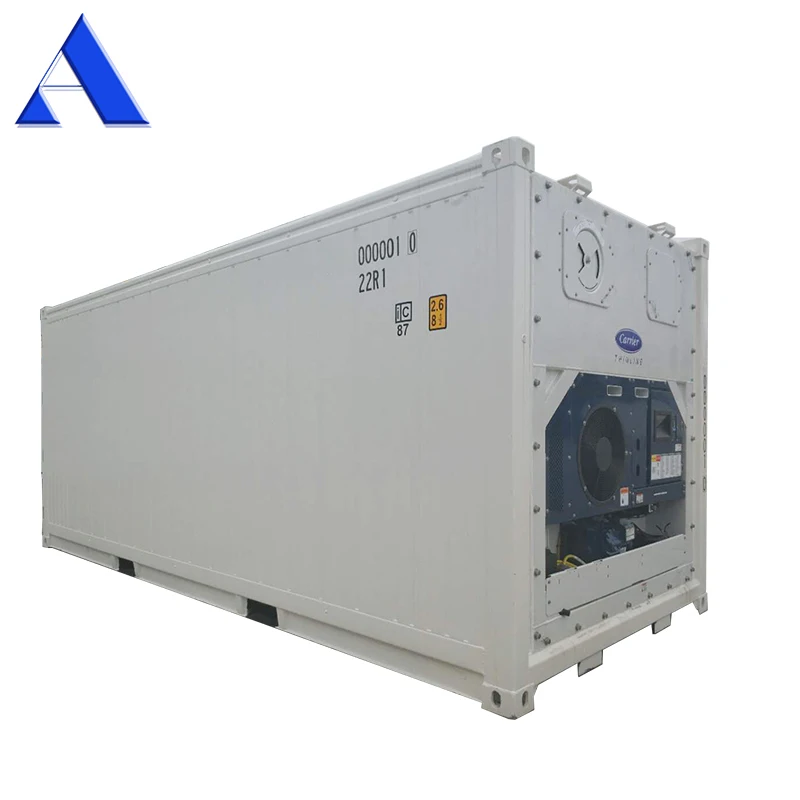 Wholesale Carrier Brand New 20ft Refrigerated Steel and Aluminium Storage Reefer Containers CSC Certified with High Capacity