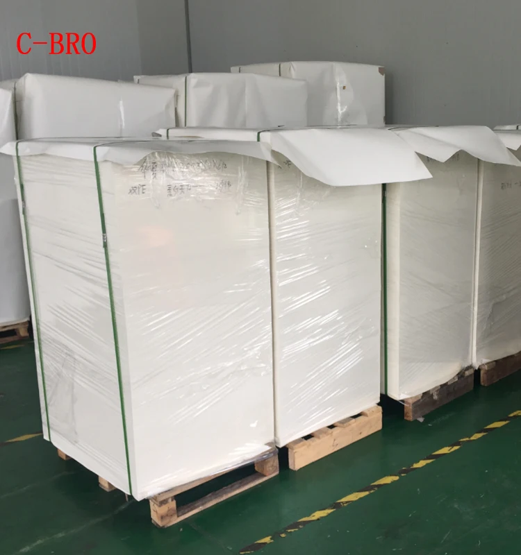 
bio degradable pla coated paper for coffee cup eco 