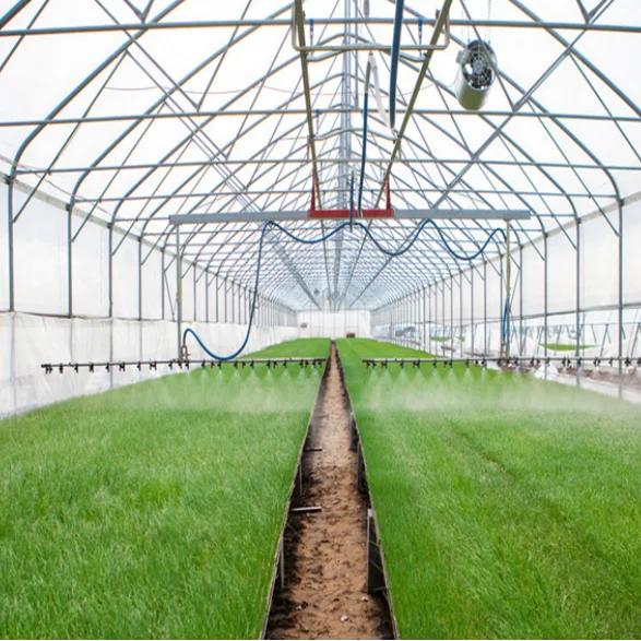 Hangmei Factory Supplier commercial film greenhouse for agriculture