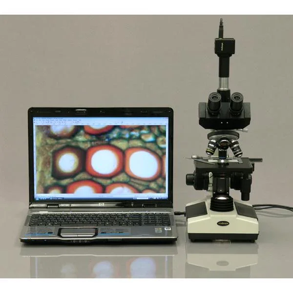 AmScope 40X-2000X Trinocular Halogen Compound Microscope w/ 10MP USB 2.0 C-mount Camera