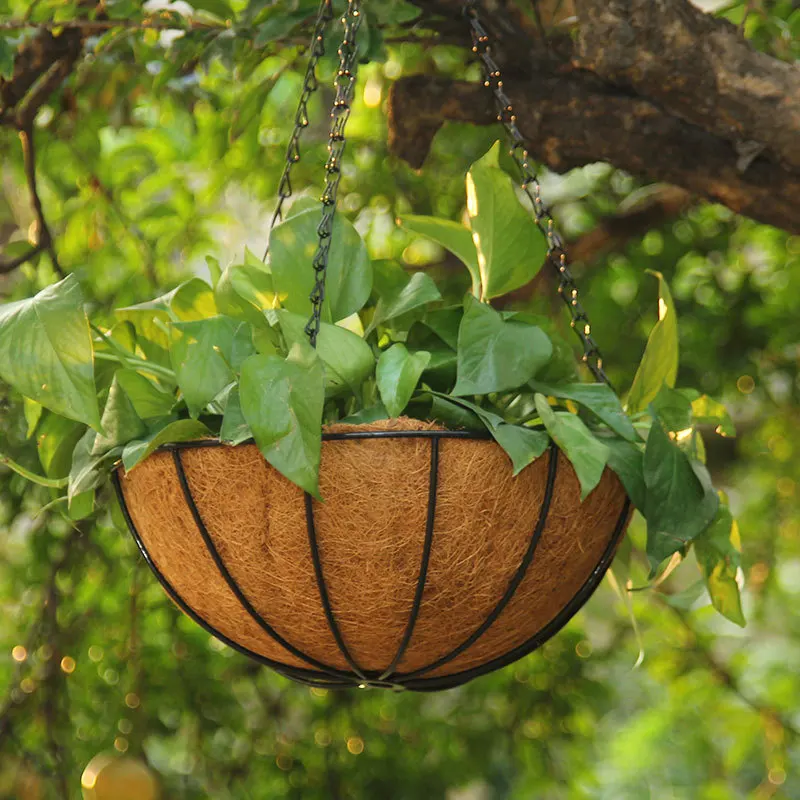 Round Wire Hanging Plant Basket with Coco Coin for Outdoor Decorative