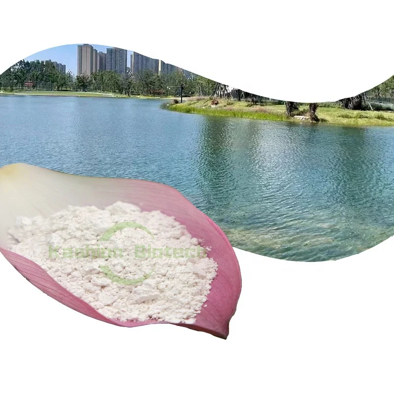 Low price water purification enzyme phosphorus and ammonia nitrogen COD removal