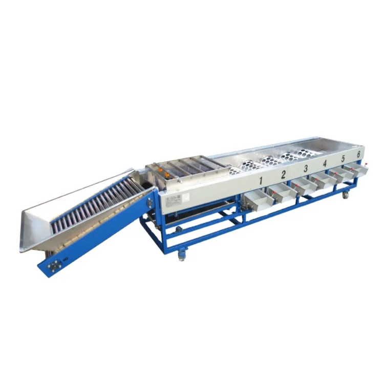 Fruits Size Sorting Machine Apple Lemon Fruits Vegetable Washer Sorter Grader Classifying Machine