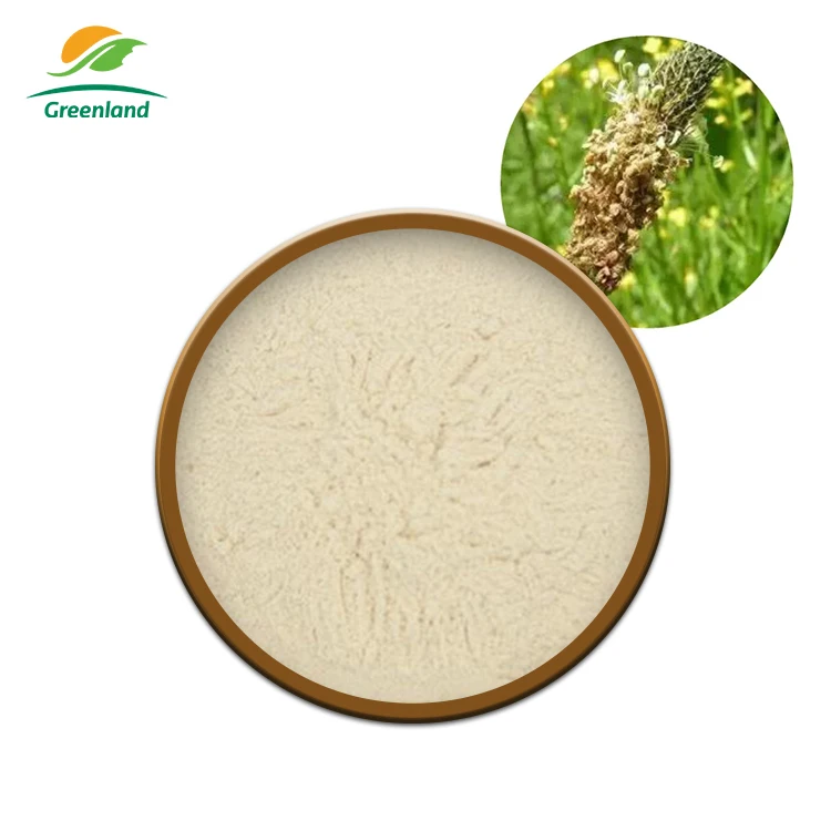 Whole Food Grade Fiber 100% Natur al Bulk Psyllium Husk Organic Powder Price