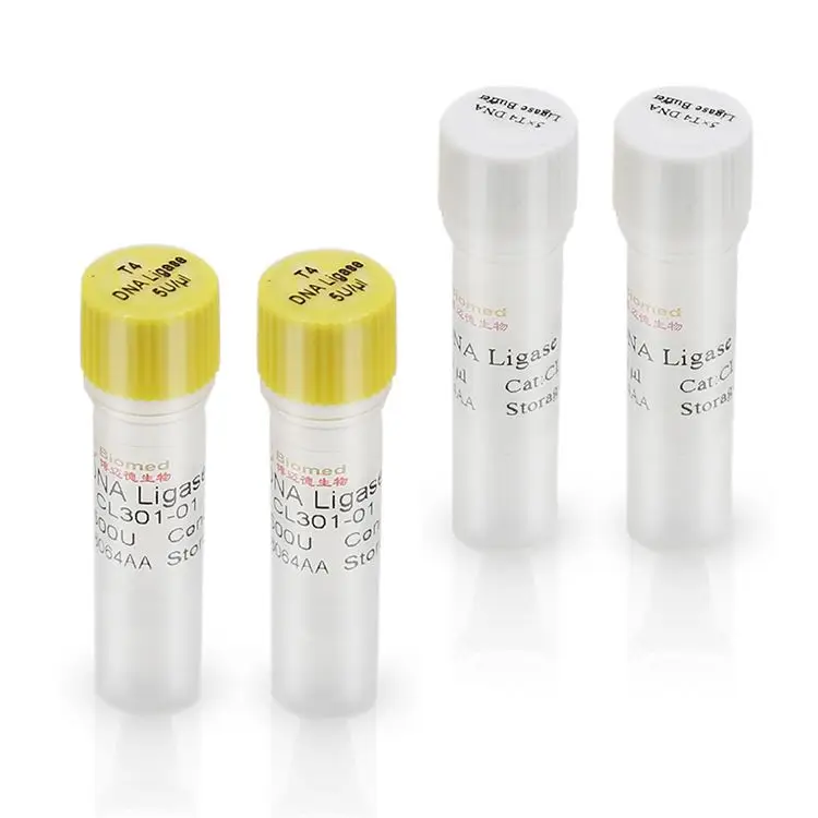 High Quality High Efficiency Professional T4 DNA Ligase