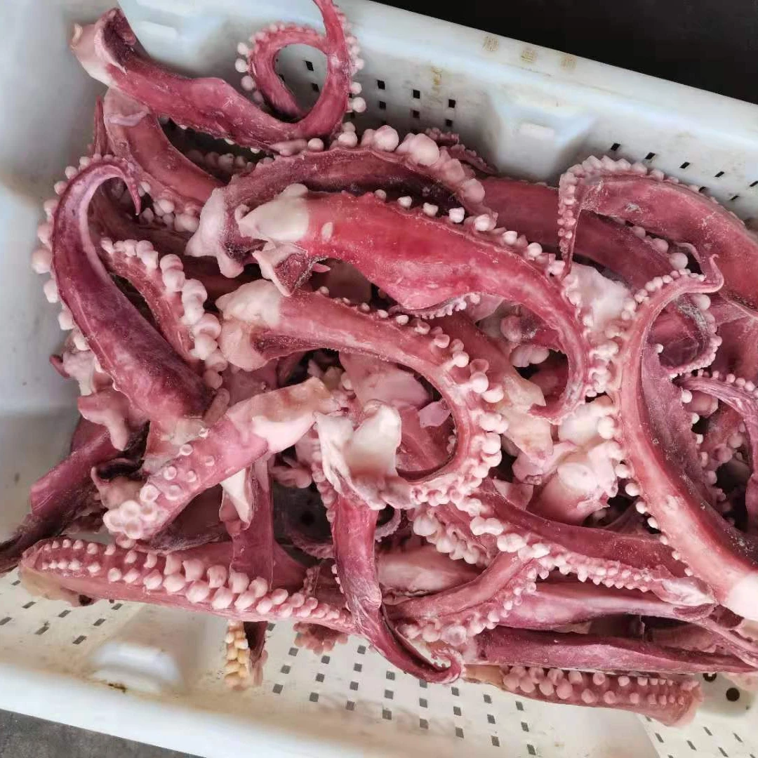 
 Frozen Indian Ocean Squid Tentacles High Quality  