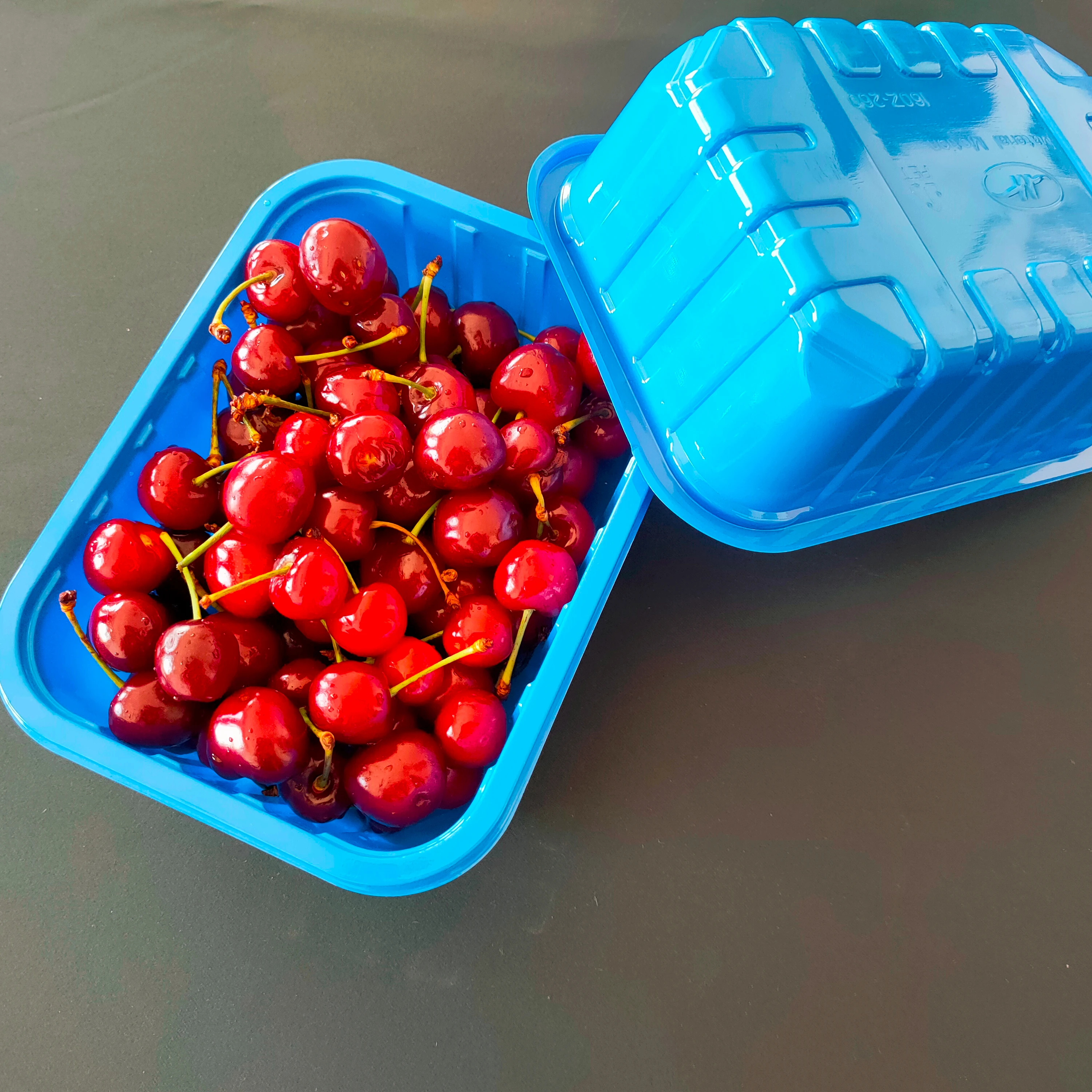 
Disposable Blister Customized Plastic Tray for Mushroom 