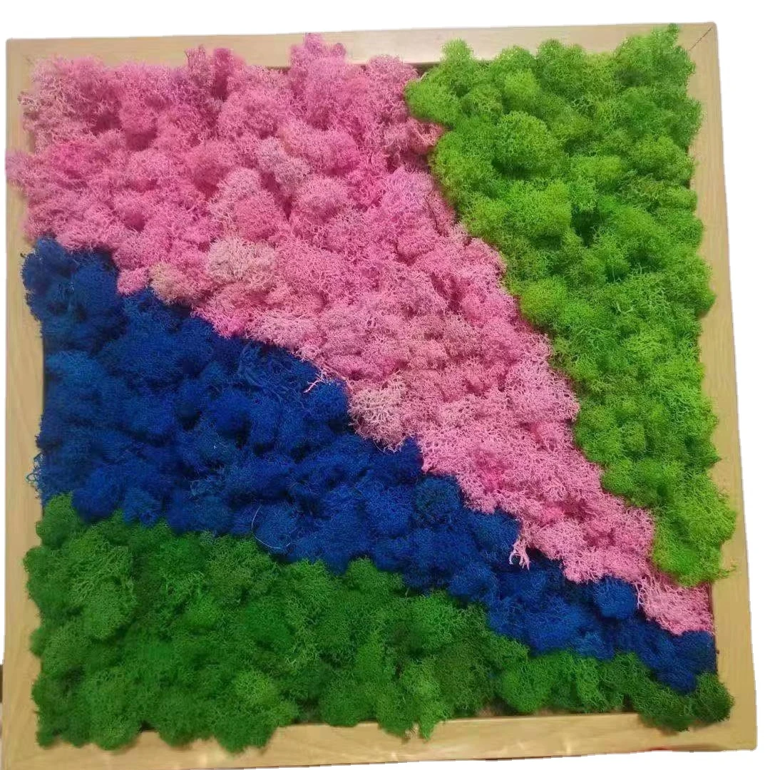 Interior decoration landscape green wall modeling immortal moss