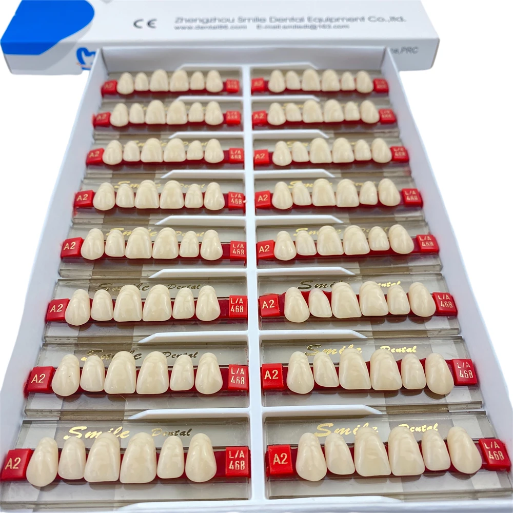 2-lay Synthetic Denture Teeth False Teeth Anterior Dental Acrylic Resin Teeth