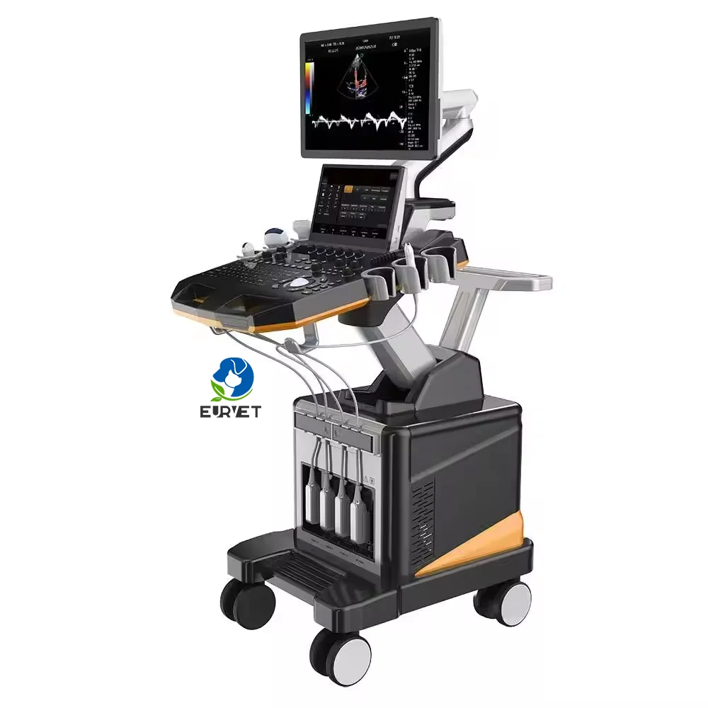 EUR VET Digital Color Doppler Ultrasound Scanner Lab Medical Equipment 21.5-inch Medical Hd Monitor Trolley Ultrasonography