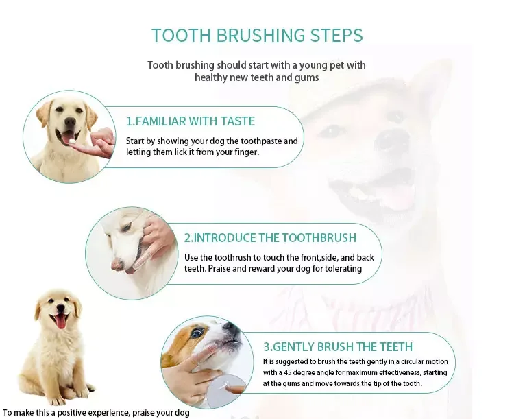 customized organic pet cleaning wet wipes dog cat dental teeth disposable  pet grooming glove alcohol free canister