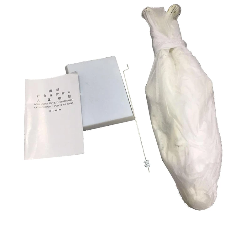 Hot Selling Human Acupuncture Model 60cm Acupuncture And Muscle Model Male Model Containing Acupuncture Pointsfor Practice