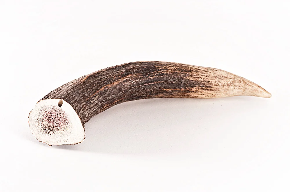 German Premium Mascota Vital Healthy Deer Antler Pet Treats With 18 Months Shelf Life For Export