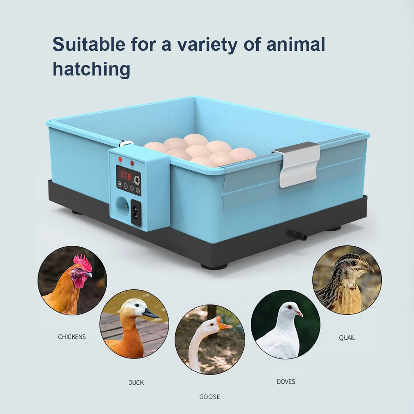 IIncubator 10-25 Pcs Eggs Brooder Chicken Fully Automatic Farm Bird Quail Incubator Hatchery Eggs Incubator Poultry Hatcher