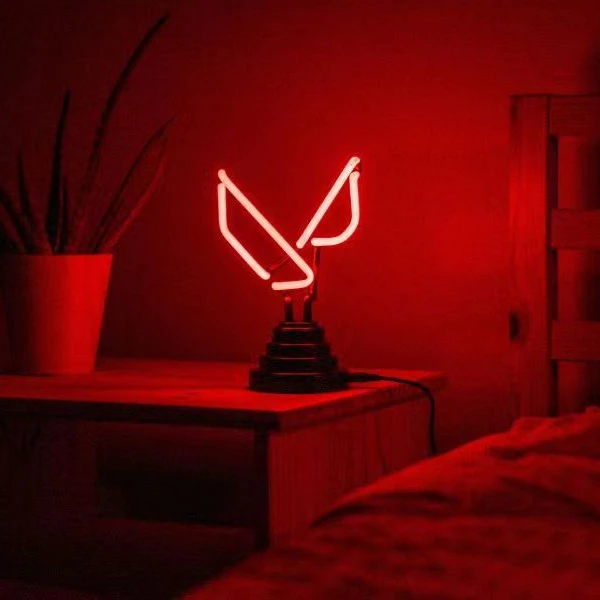 Wholesale Low voltage 12v Customized led neon light sign  neon lights table neon lamp for party kids room gift