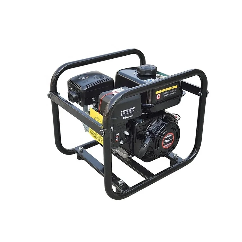 Newly Designed Portable Cement Vibrator Electric Concrete Gasoline Vibrator for Construction Sites