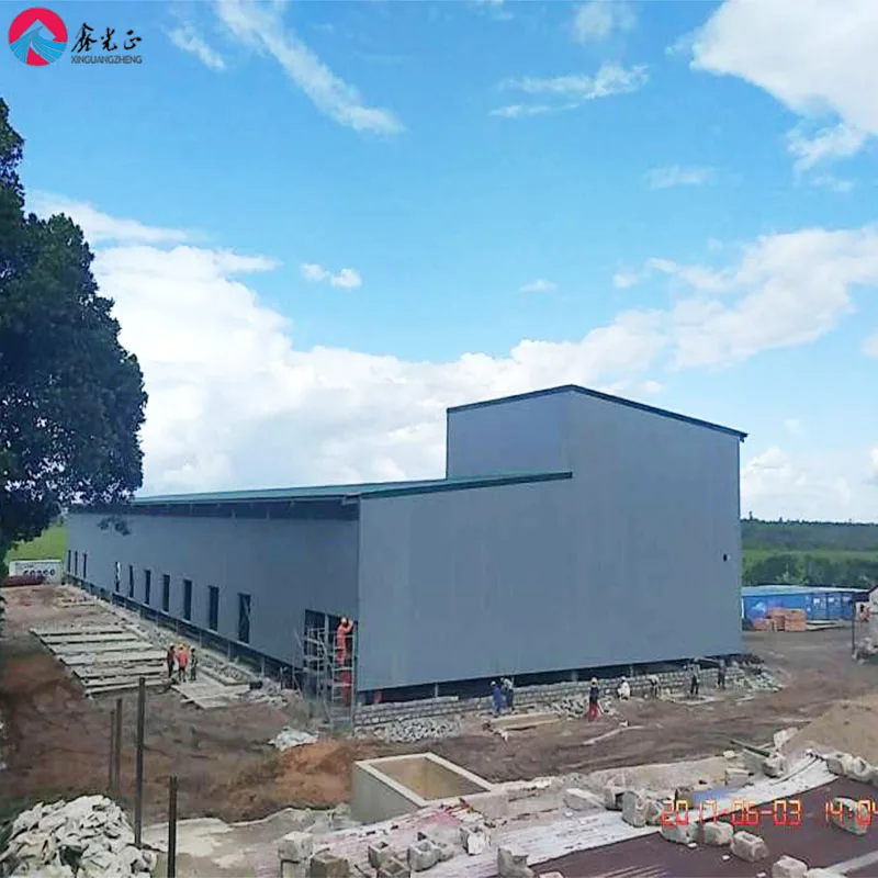 Hot sale prefabricated warehouse steel structure building Prefab Factory Buildings Fabrication in China