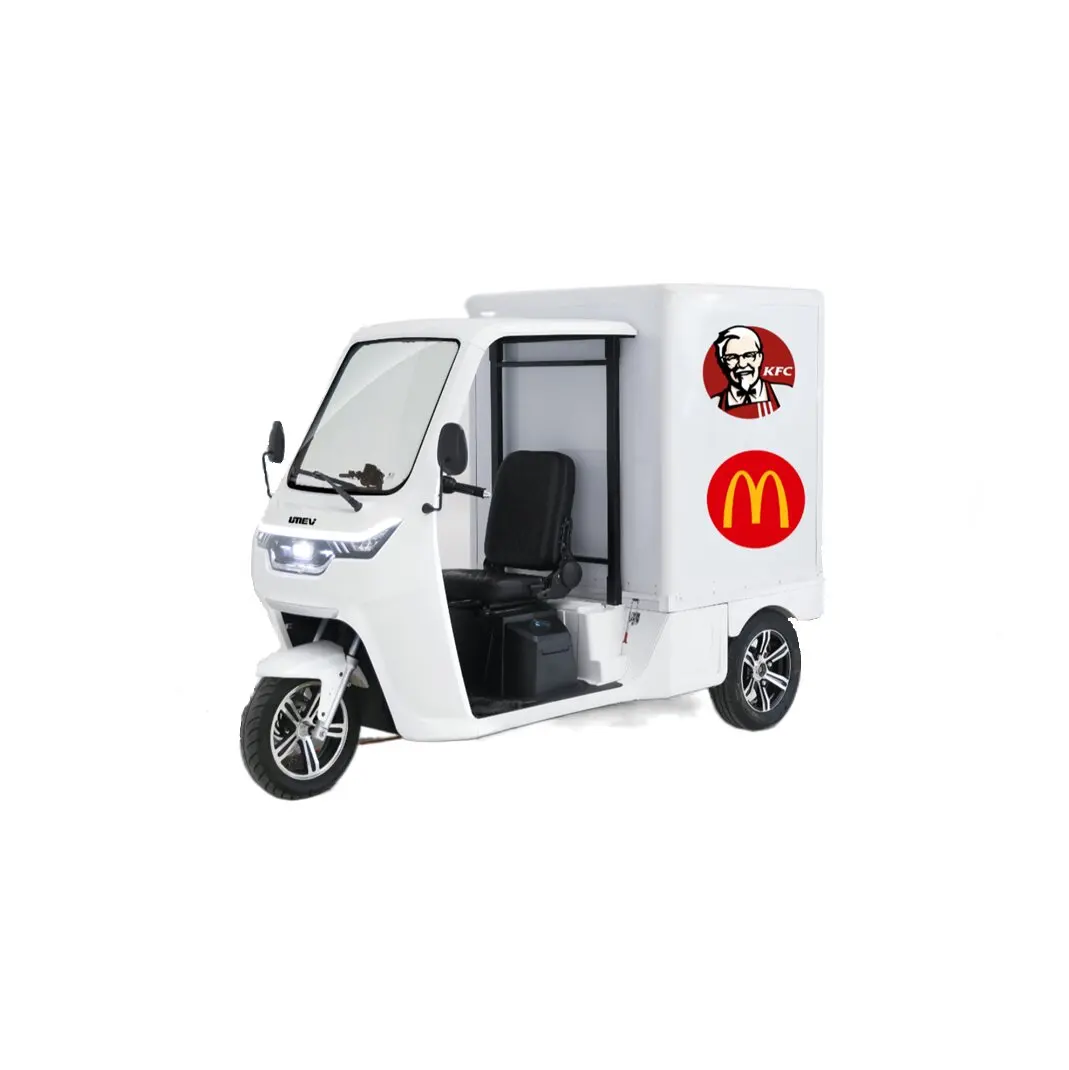 Chinese Electric Cargo Tricycle Small Dump Truck Delivery Vehicle EEC Van 3 Wheel Piaggio Ape Food Truck Electric Tricycle