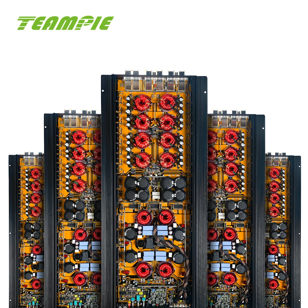 USA Market High Power RMS 5500W Monoblock Class D Car Power Amplifier For Subwoofer Competition With Korea SolutionTP-5500.1D