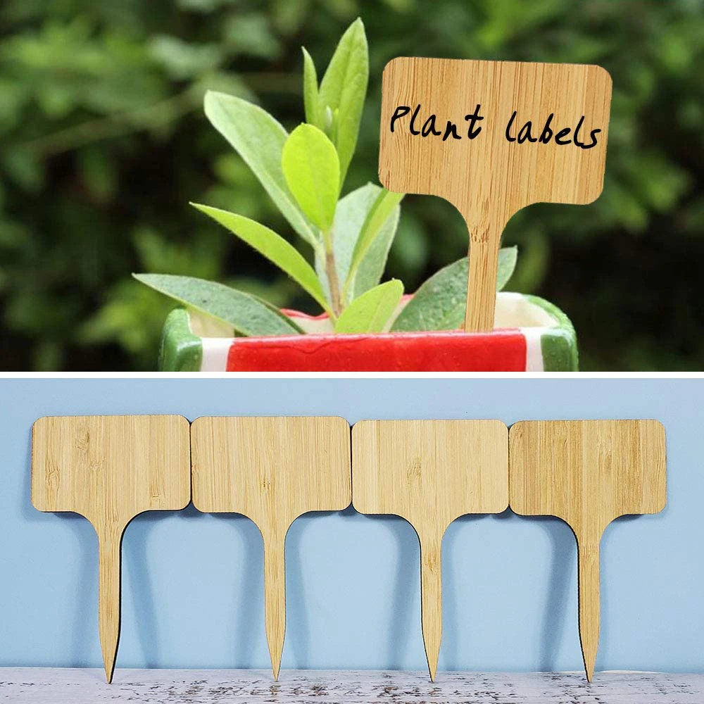 60 Bamboo Plant Labels in Gift Box (T-Type) | Plant Tags | Cheese Markers