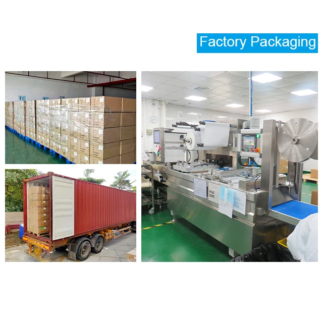 Wholesale Veterinary Diagnostic Pet Dog Canine Antigen Rapid Test Kit for Home Using