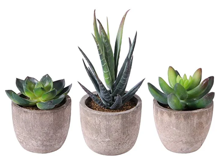 Succulents Plants Bonsai Cactus Potted Plants Garden Greenery  Faux Succulents for Home Decor
