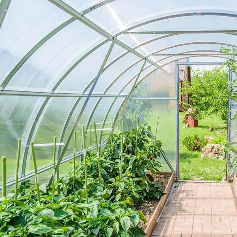 Дешевая Цена по прейскуранту завода 4 мил пластиковая пленка для теплицы огорода