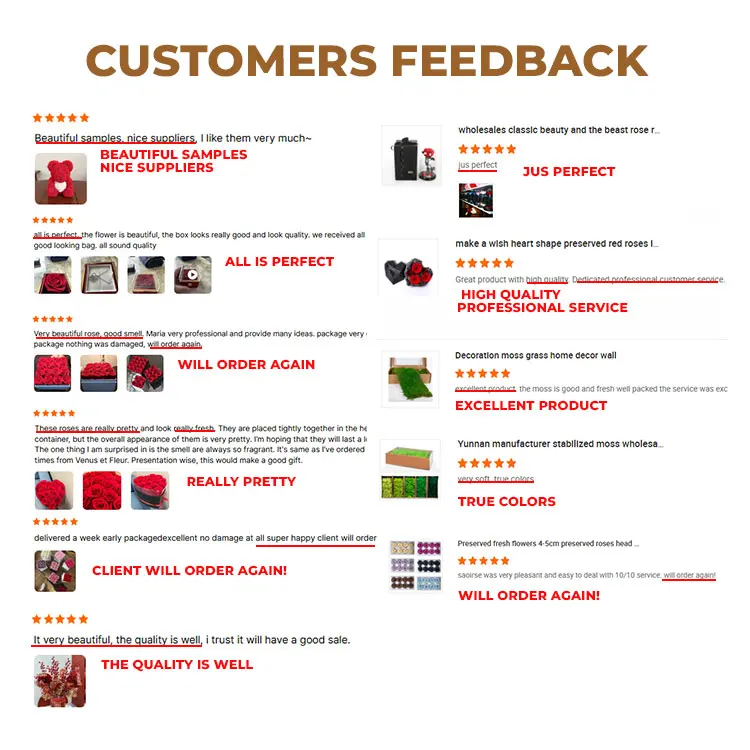 Wholesale Customized Logo Wedding Natural Long Life Luxury Various Colors Rose Flower Gift Eternal Preserved Roses in Box