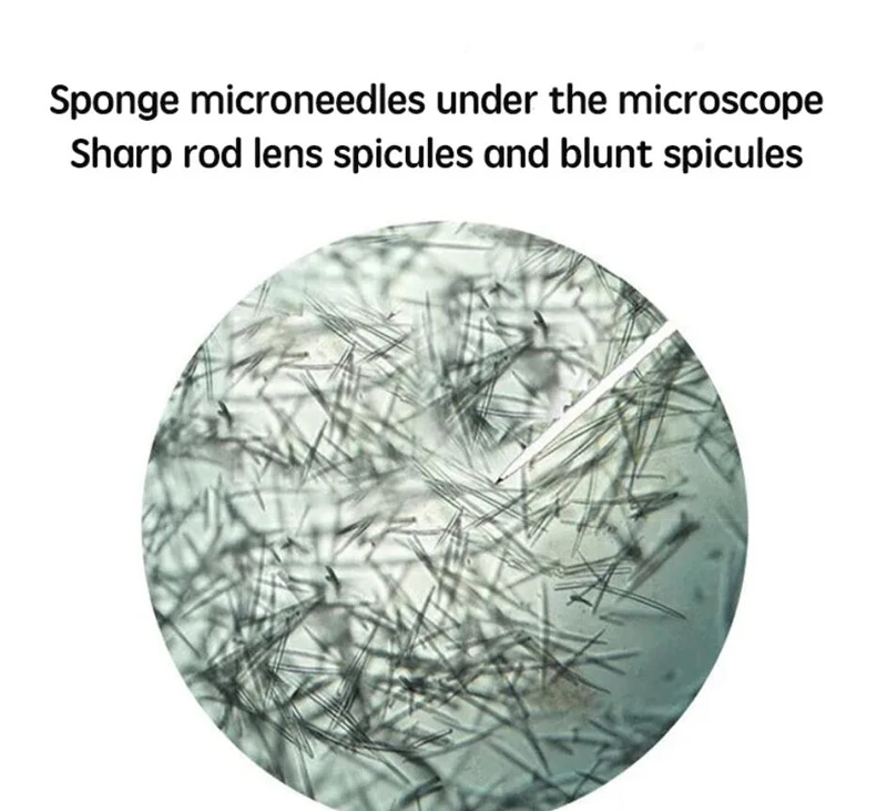 2024Y Sponge Microneedle Peel Acne Treatment Spotted stretch marks Algae Peel  Bio-microneedling For Skin Rejuvenation