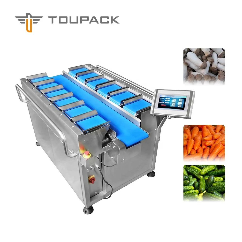 Semi-Automatic  Fresh Beef Pork Cuttlefish Dried Squid 12 Belt Mulithead Weigher