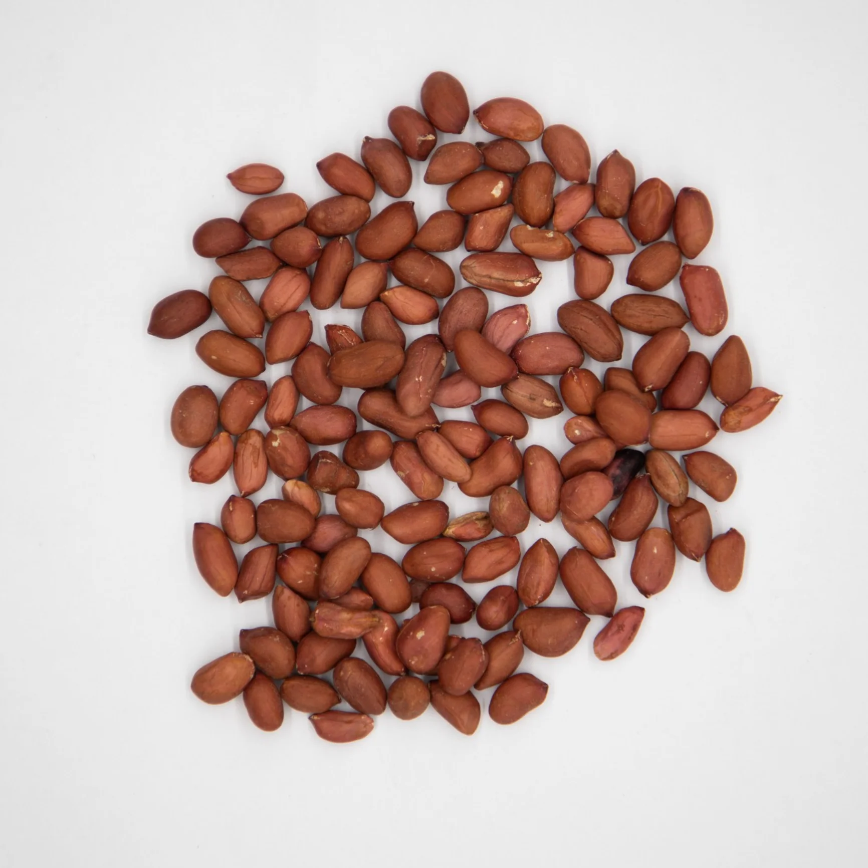 Healthy snack top grade organic peanut kernels peeled peanuts nuts in bulk from Uzbekistan manufacturer