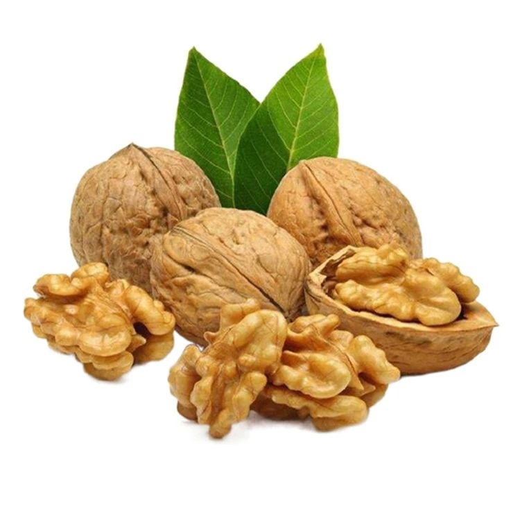 Китайский качественный профессиональный оптовый Производитель грецких орехов по цене производителя