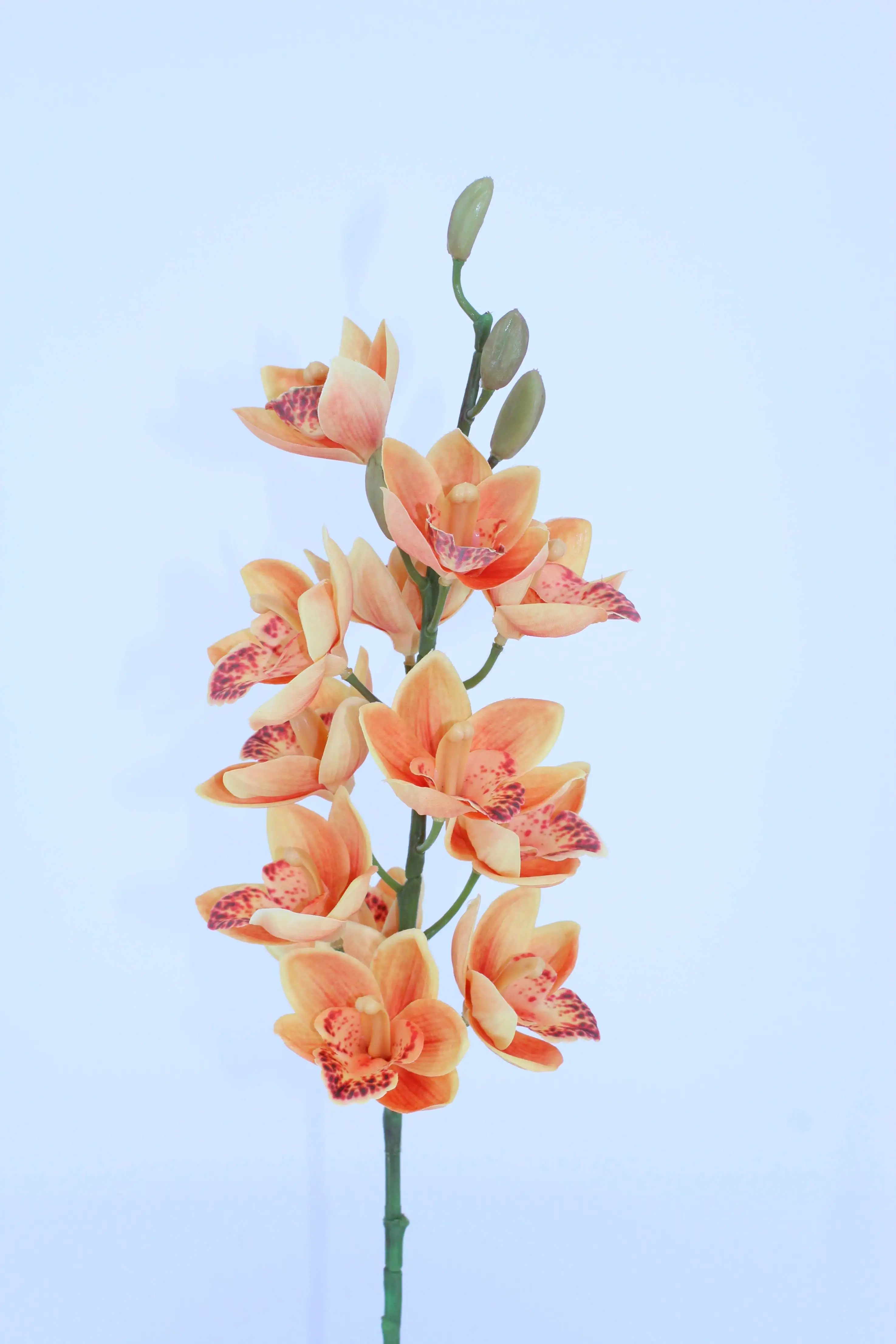 China Real Touch Flowers Orchids Wholesale Plastic Artificial Orchid Silk Flowers with Single Stem Artificial Flowers