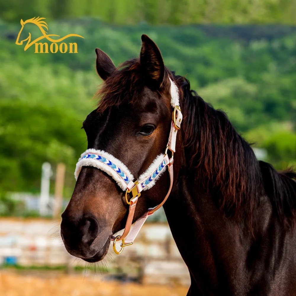 Wholesale Equestrian Products Hors Halters Set Customized LOGO Style Nylon Combo Accept Material Origin Place Model Offered