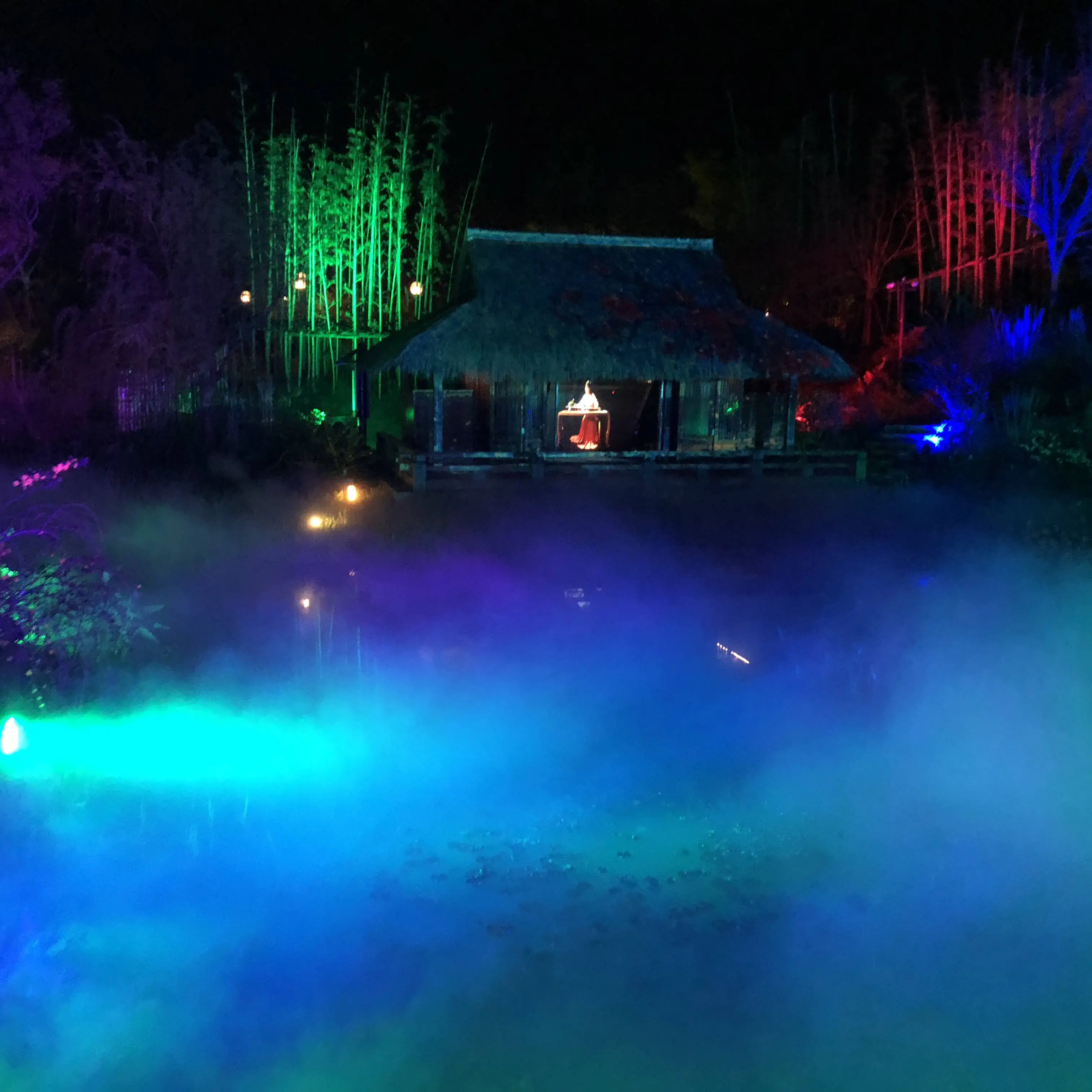 Highly Automated Dolphin Outdoor Water Laminar Flow Garden Animal Digital Water Curtain