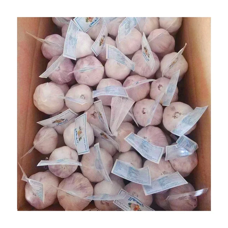 Обычный белый чеснок высшего класса, новейший урожай, маленькая упаковка, сетчатый мешок, свежий чеснок, оптовая продажа, низкая цена, чеснок