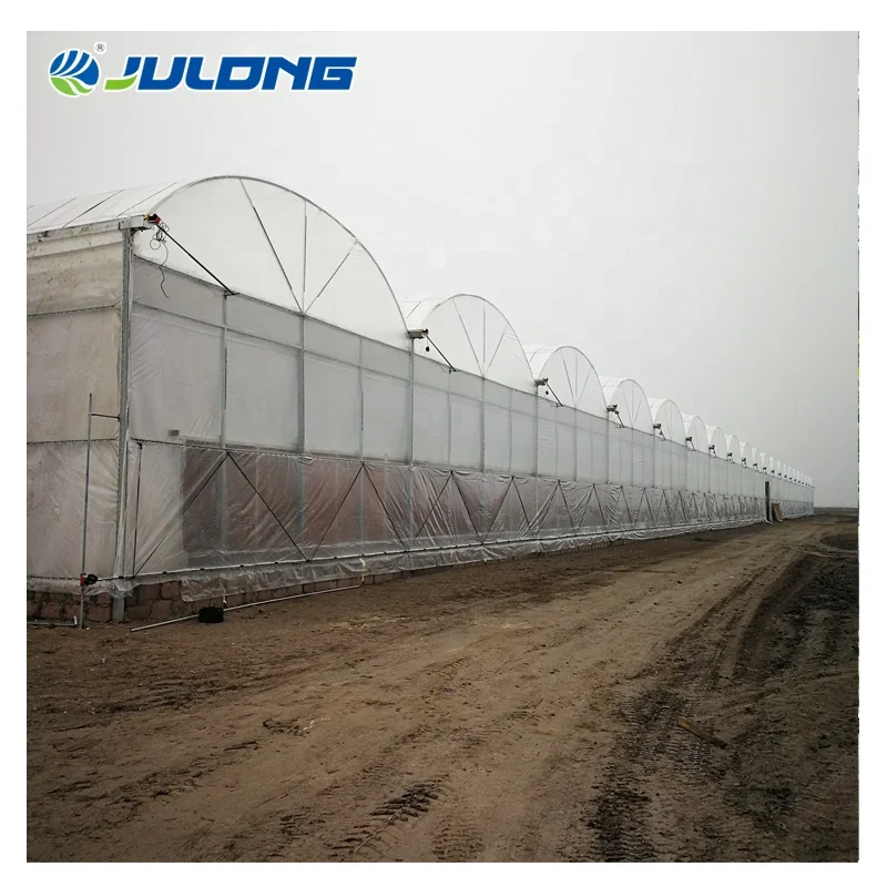 Cheap Hydroponic Multi Span Greenhouse Smart Farm Tomato Strawberry Greenhouse Supplier