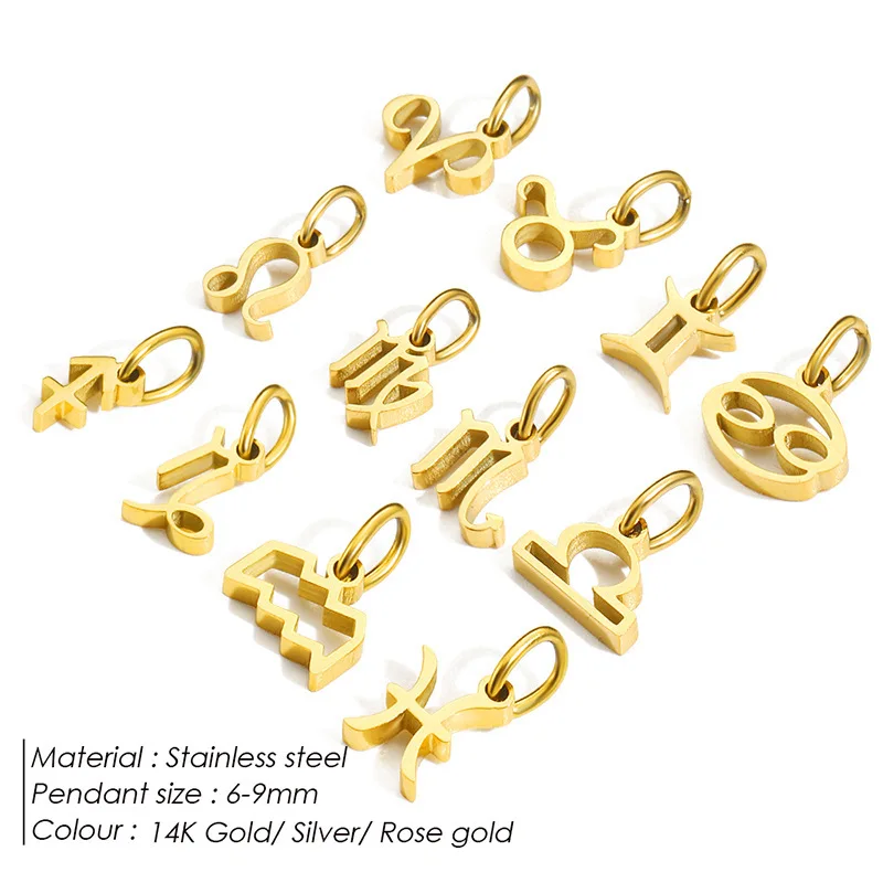 Jewelry Accessories 12 Constellations Stainless Steel Charm DIY Necklace Bracelet Pendant Wholesale Zodiac Charms