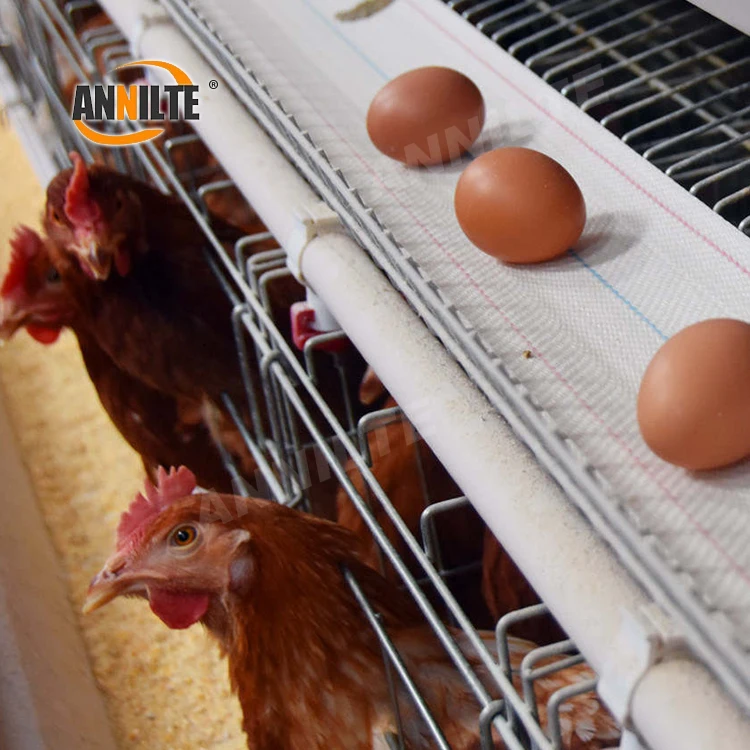 Annilte Egg Collection Belt 100mm 95mm for Chicken Farm