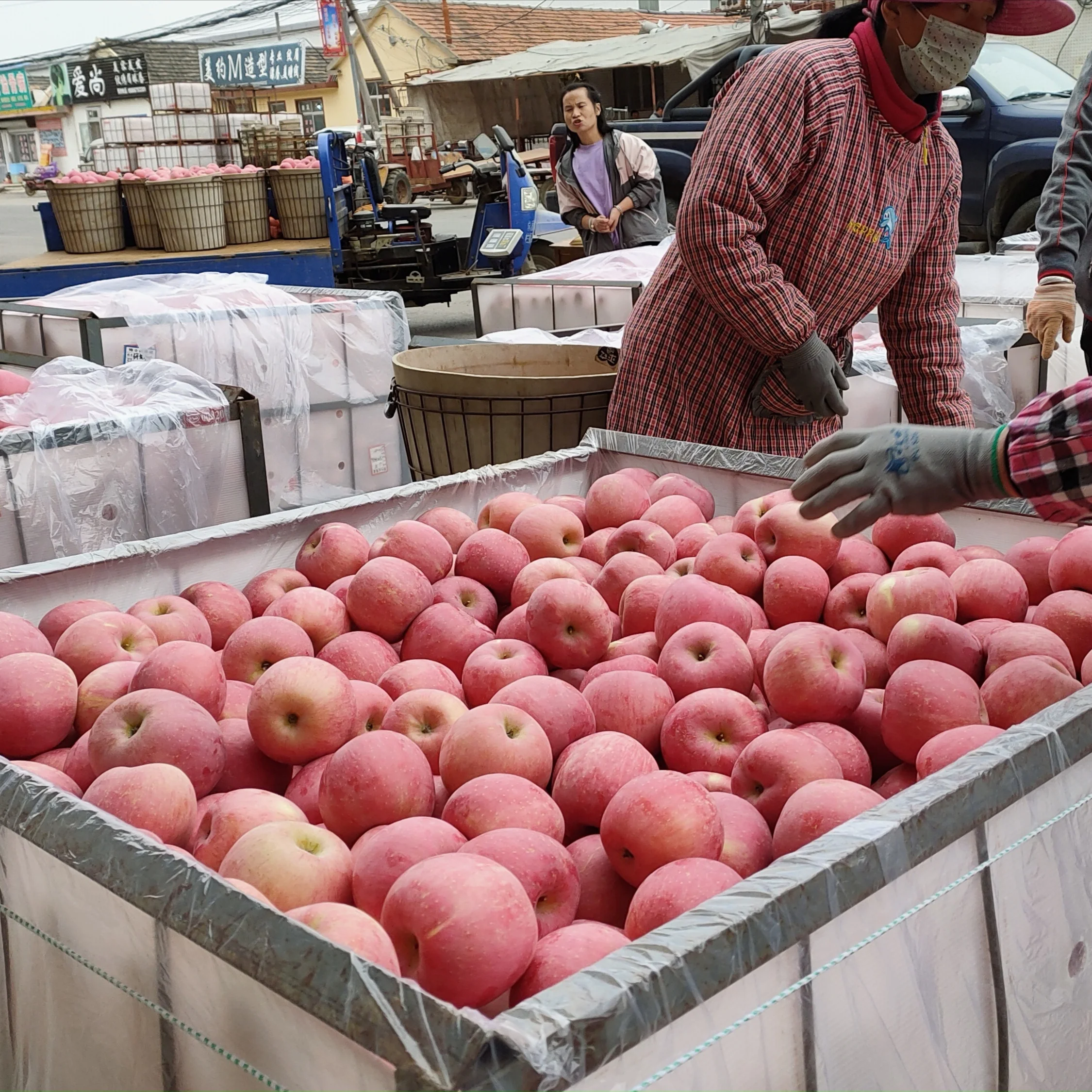 October Harvest Time New Fruit Honeycrisp Export Grade 2021Crop Fresh Red Sweet Color Fuji Apple