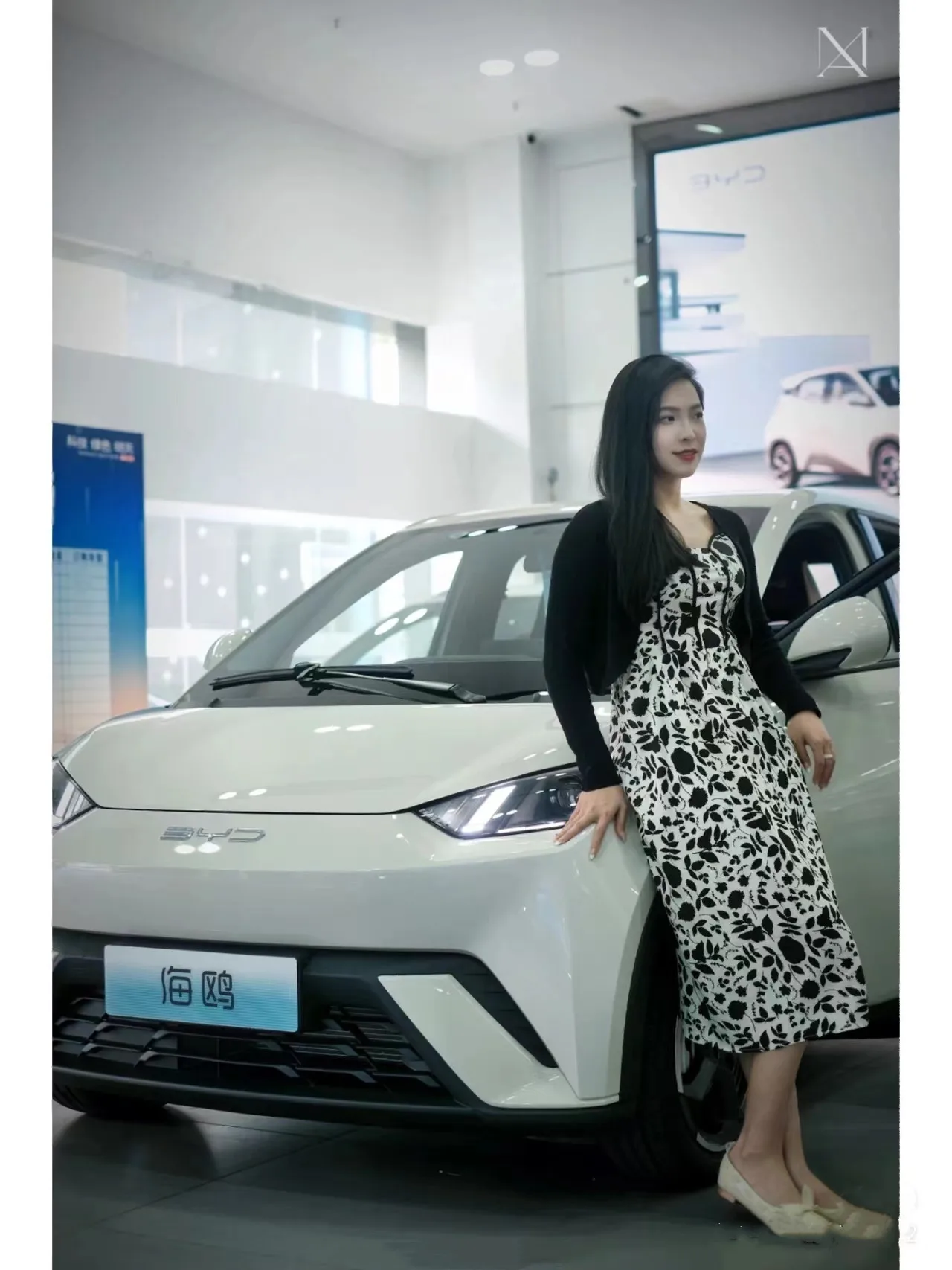 2023 new best selling Byd seagull China manufacture cheap motor 305KM range 5-door 4-seat electric Ev Car for Auto