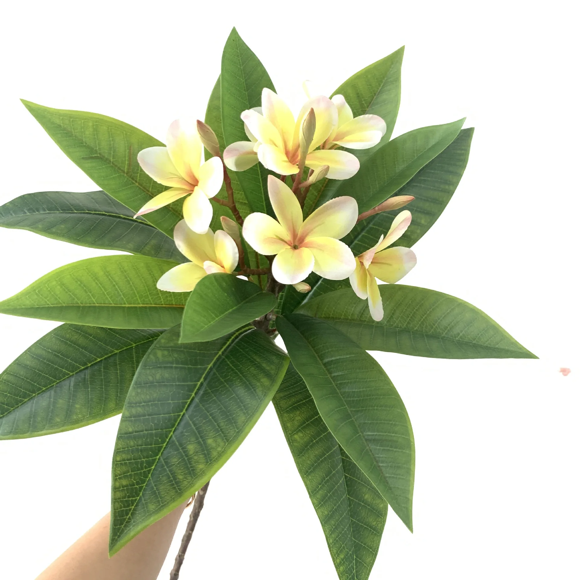 High Quality N-0116 Hawaii Hawaiian Artificial Real Touch Hair Foam 3D Plumeria Flower Bundle