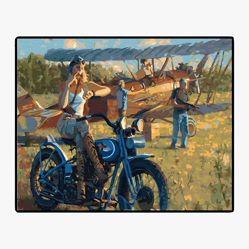 GX36792-40*50  oil painting by number The locomotive beauty Plane customizable wholesale