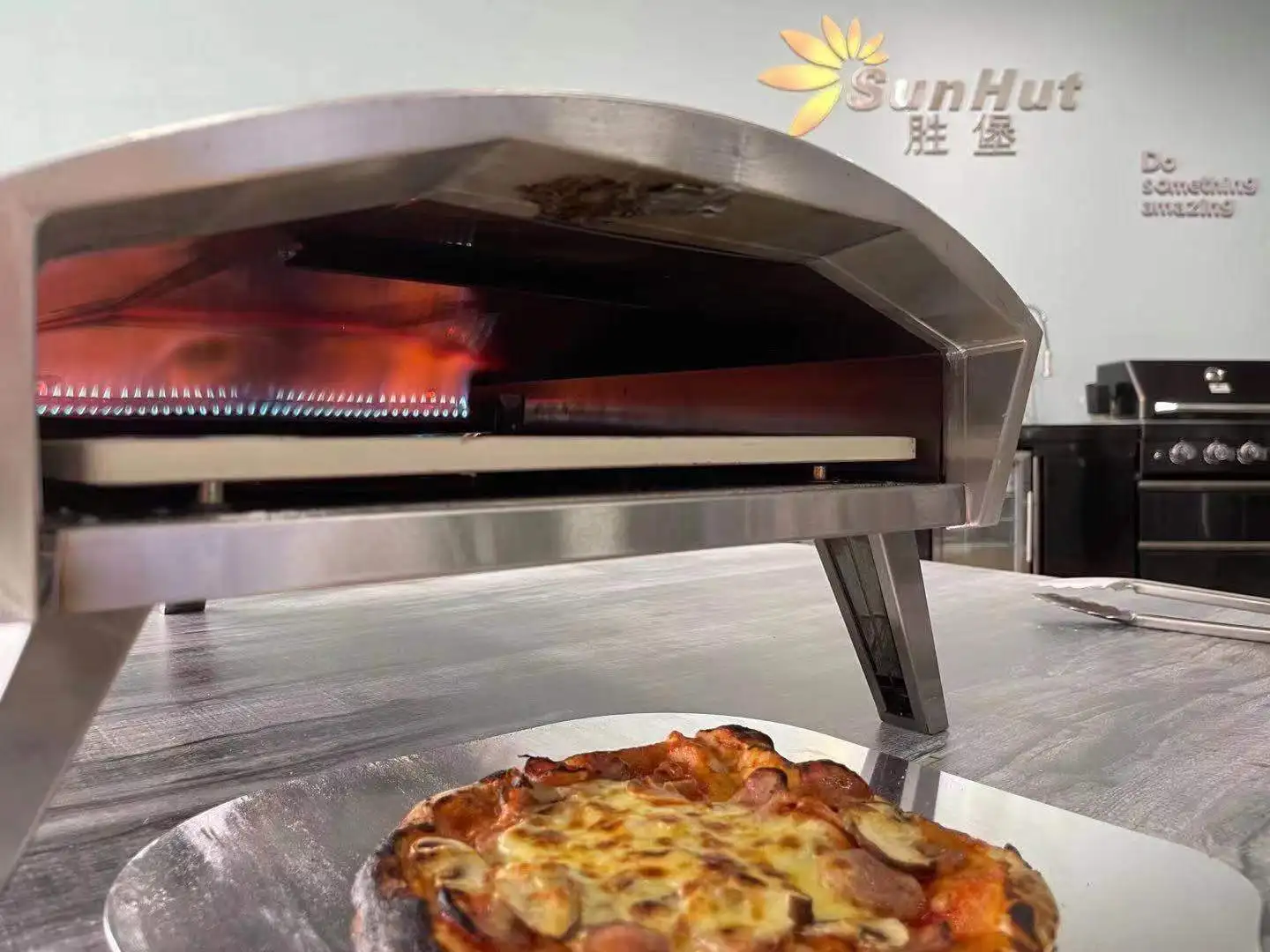 12 inch pizza oven black powder coating pizza oven hot selling pizza oven outdoor