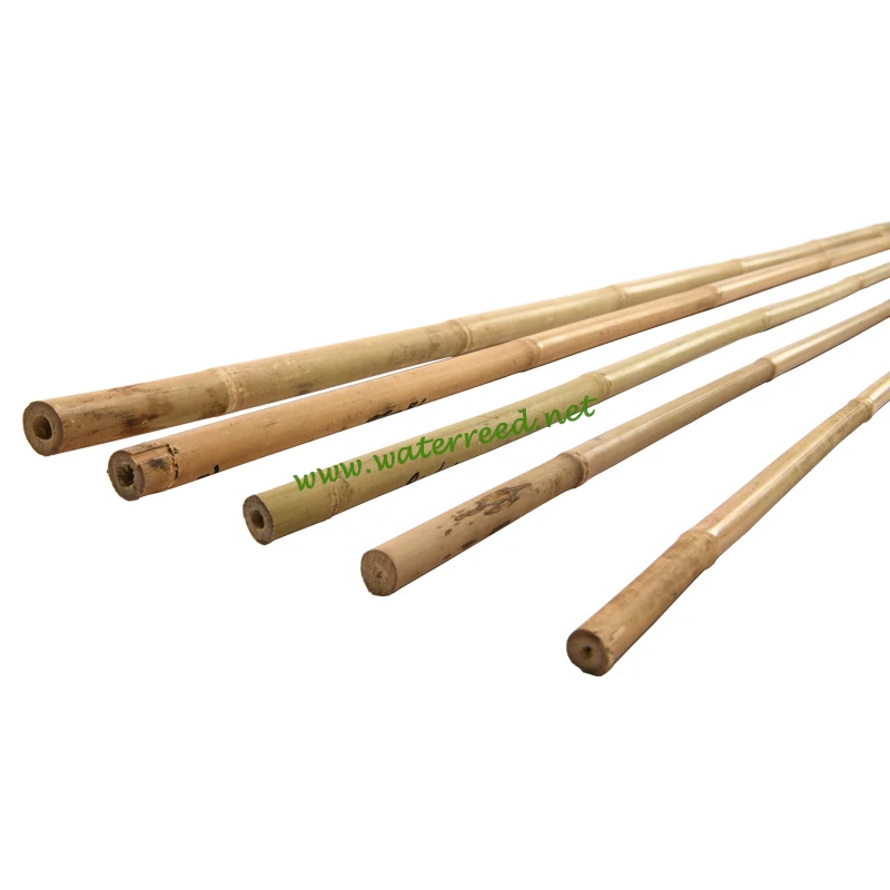 BAMBOOSTICK4